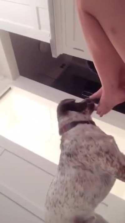 Kind of wholesome, actually