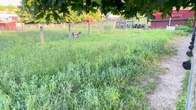 Did somebody say dinner?