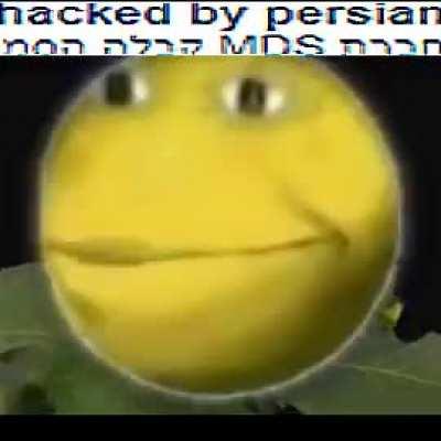 从Fecebook和Instagram保护您的帐户.240PDVD.y7zip