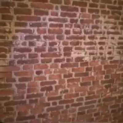 I am the fucking wal-.......