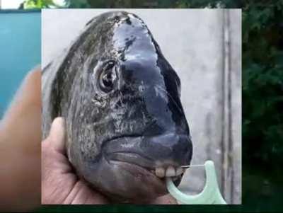 The mass murders of 1892