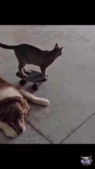 Coolest losercitizen (welcome back losercity)