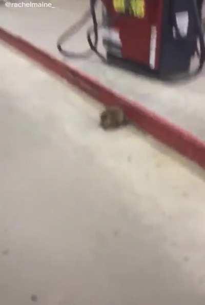 Como xaropinho diria: 