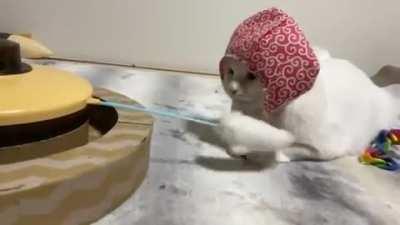 Well, at least the toy is working