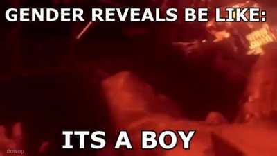 Gender Reveals in 2020 (meme)