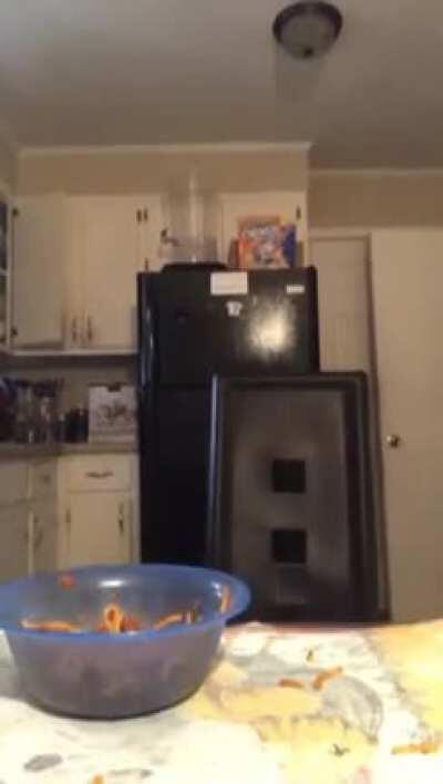 I have been laughing at this for 5 minutes