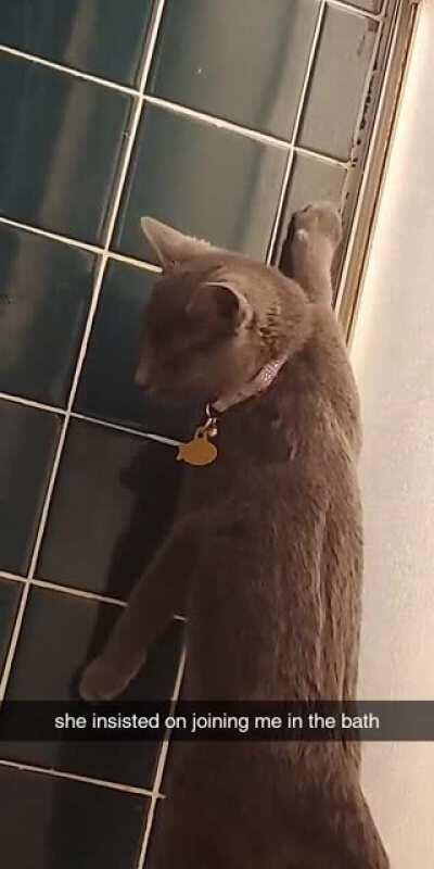 She absolutely insists on getting in the bath/shower with me every time. She also absolutely hates water/being wet. This is usually the result