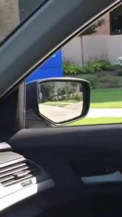 Whale gets tasered a must see !!!!