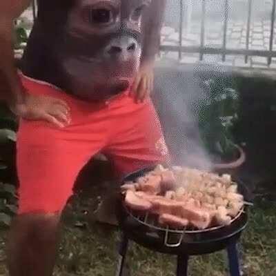 Awesome Monke Tshirt Trick!