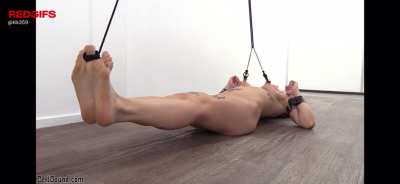 Keep your submissive’s fit.