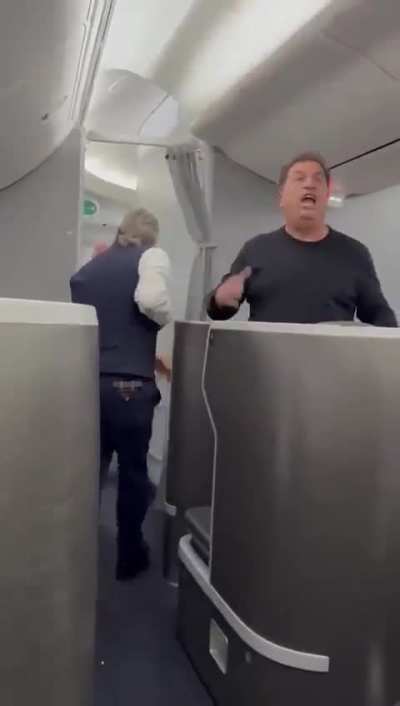 Crew members of an American Airlines Boeing 787-9 Dreamliner prevented a passenger from trying to break into the cockpit just before takeoff to New York. She was then escorted back to her first class seat, but another passenger jumps to his feet and start