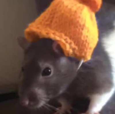 Still waiting for his official appearance 😪