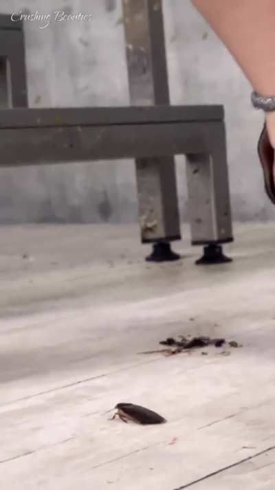 my most preciated video