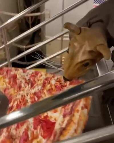 The hell is going on here