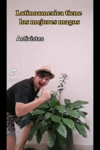 Buenisimos los magos