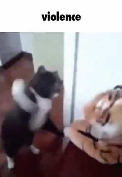 I just made the stupidest thing ever