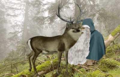 Le Drood who sits in the forest while a deerbs passes by has arrived