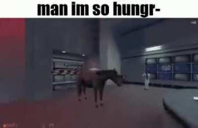 Horse.mp4