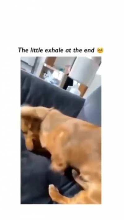 Getting tired after a long WFH