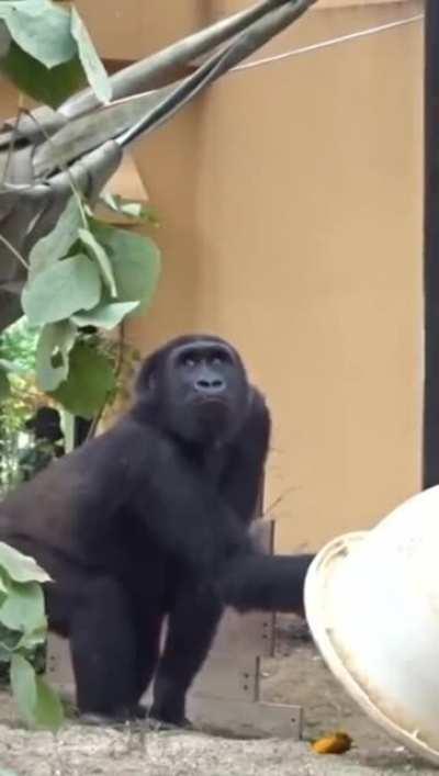 Almost got it. Almost...