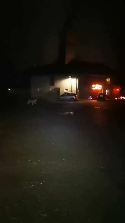 Hatte eben eine interessante Begegnung