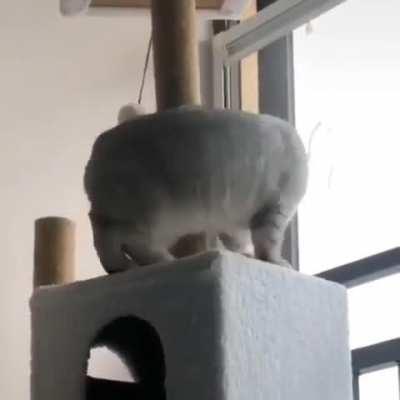 I cannot explain why he doing this...