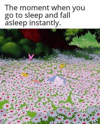 Finally some 8h sleep.