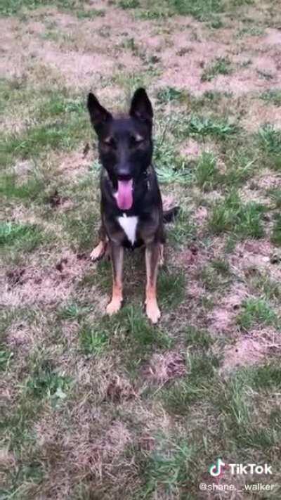 Say goodbye to the family jewels