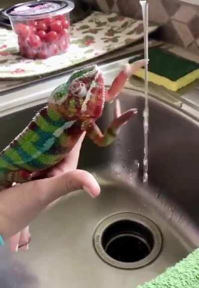 Мойте руки перед едой!