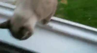 404 Gravity Not Found