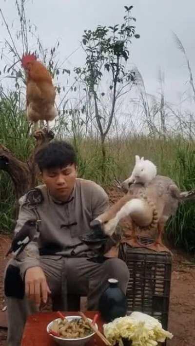 Лето в деревне