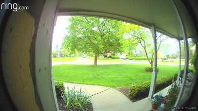 Close call, almost ran over in own yard.  Tree saved the house. 