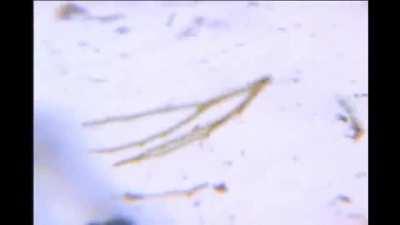 Things Falling Apart turns 20 today!