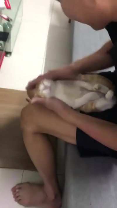 Grandpa teaches how to bathe a baby. Guess who's his voluntary assistant.
