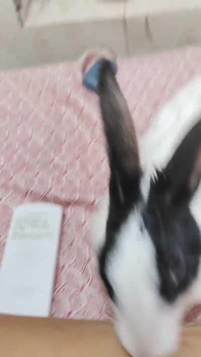 Why is my bun like this every morning? 