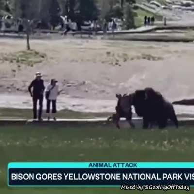 You mess with the bison, you get the horns.