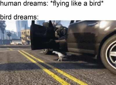 going south in style