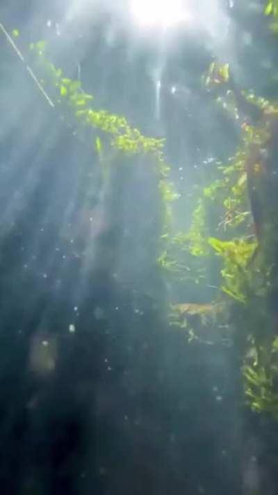 A different perspective