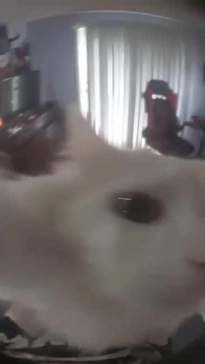 Holding pussy (audio included)