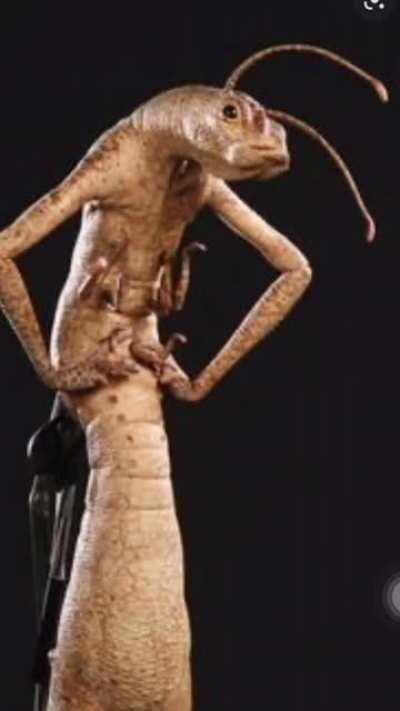 is AnnoyingTv really ugly?