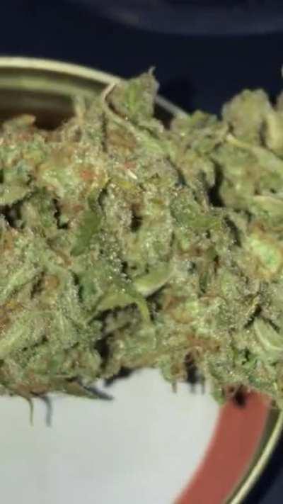 Haven’t updated in a while... this is my first grow. She’s been curing since the 10 Sept. Still haven’t smoked any yet 😅