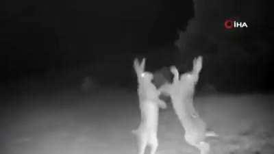 Goofy ahh fight that reminded me of you guys for some reason