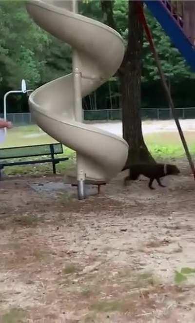 She's having the time of her life