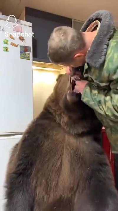 My idiot apprentice turned me into a bear. Jokes on him I'm making him maintain my hygiene while I'm in this state.