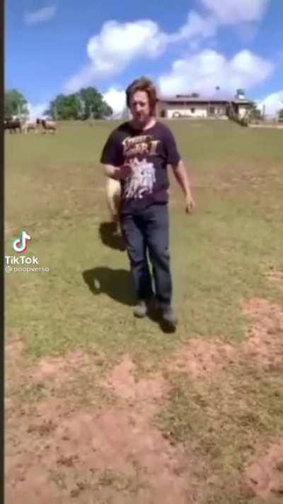 nunca confie em ovelhas