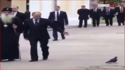 Putin and his court wizard being saluted by comrade pigeon