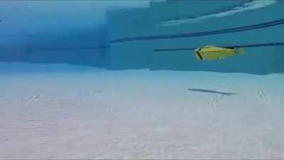 I was told you guys might like my 3D Printed RC Cyclops Submarine