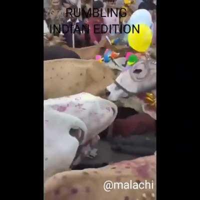 As an Indian I give you this gem