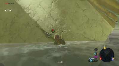 Sniped by an Octorok