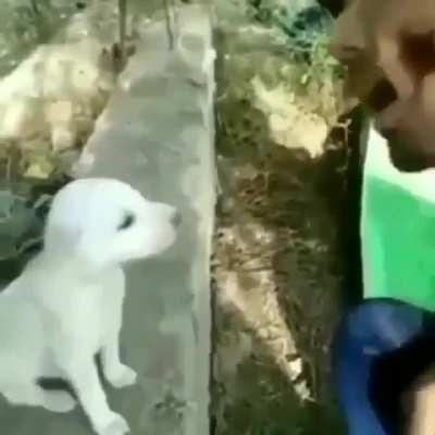 Dil ko chu jaane waali aawaz 💯